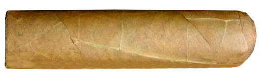 Woermann Cigars Bundle Fat Shorty